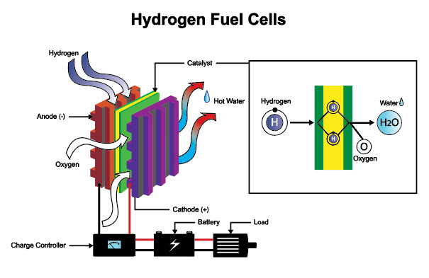 Diagram of a hydrogen fuel cell in a quality online course