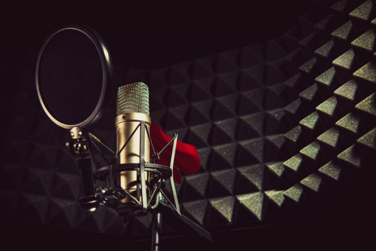 Best Microphones for Recording Video | The TechSmith Blog