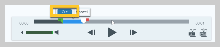 How to trim a video in Snagit