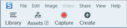 Assets button in Snagit Editor