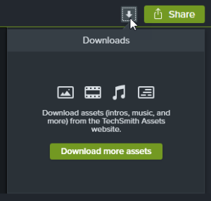 techsmith asset