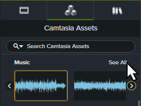 See All option for Music asset category