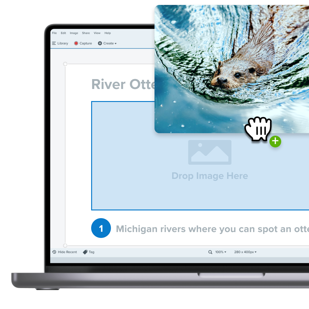 A laptop screen displaying a Snagit template with an image of a river otter swimming being dragged into the image placeholder.