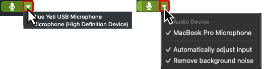 Microphone options on Windows and Mac