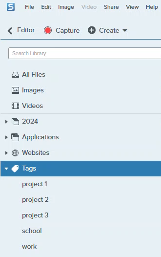 Snagit library tags