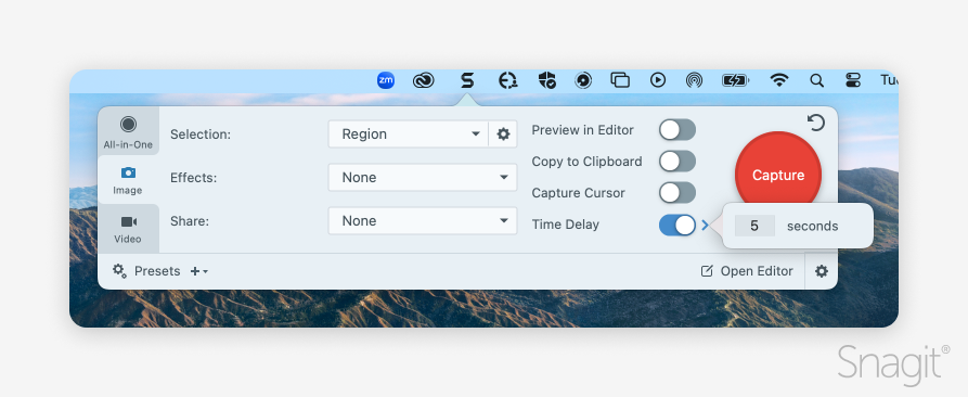 Screenshot of the Time Delay option in Snagit