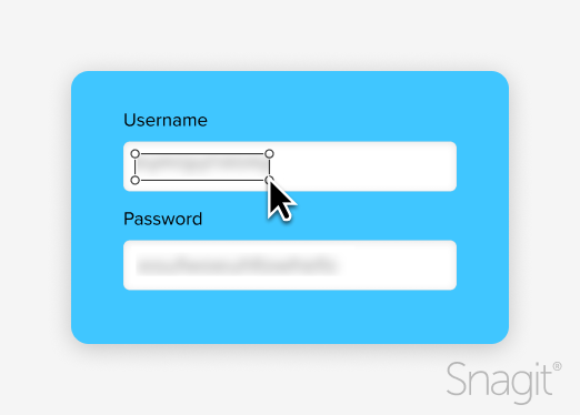 Applying a blurs to a screenshot to obscure a username and password