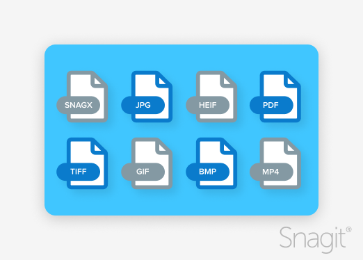 Illustration of supported file formats, including SNAGX, JPG, PDF, and others