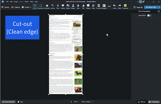 Gif of someone using Snagit to cut out information from a scrolling screenshot.