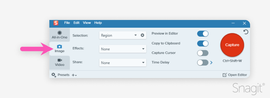 The image capture tab in Snagit.