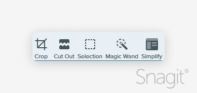 Crop, cut out, selection, magic wand, and simplify tools in the snagit tool bar. 