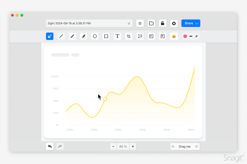 Screenshot of the Zight interface with a simplified chart on the workspace and editing tools