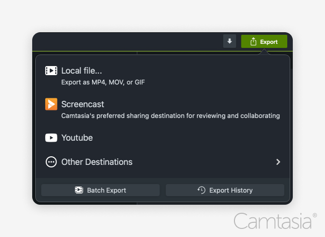 Image of export button clicked in Camtasia with a menu of export options.