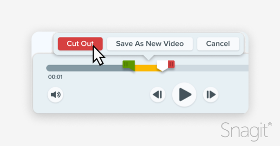 Image of cropping a video in Snagit.