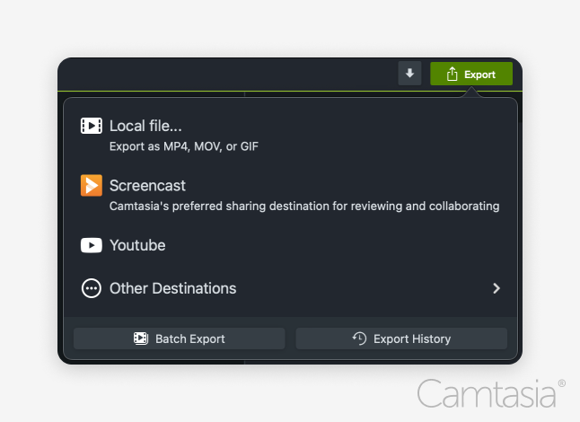 Image of Camtasia's export options.