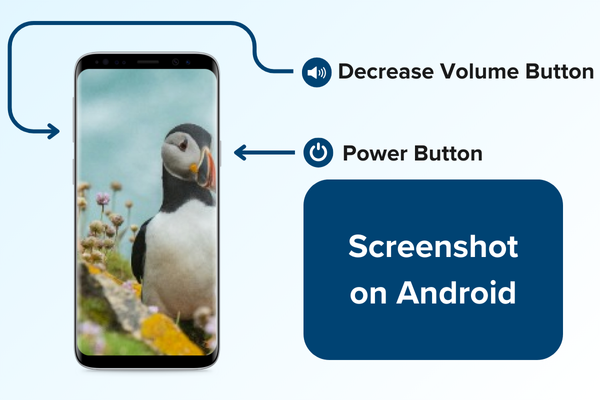 How to take a screenshot on Android