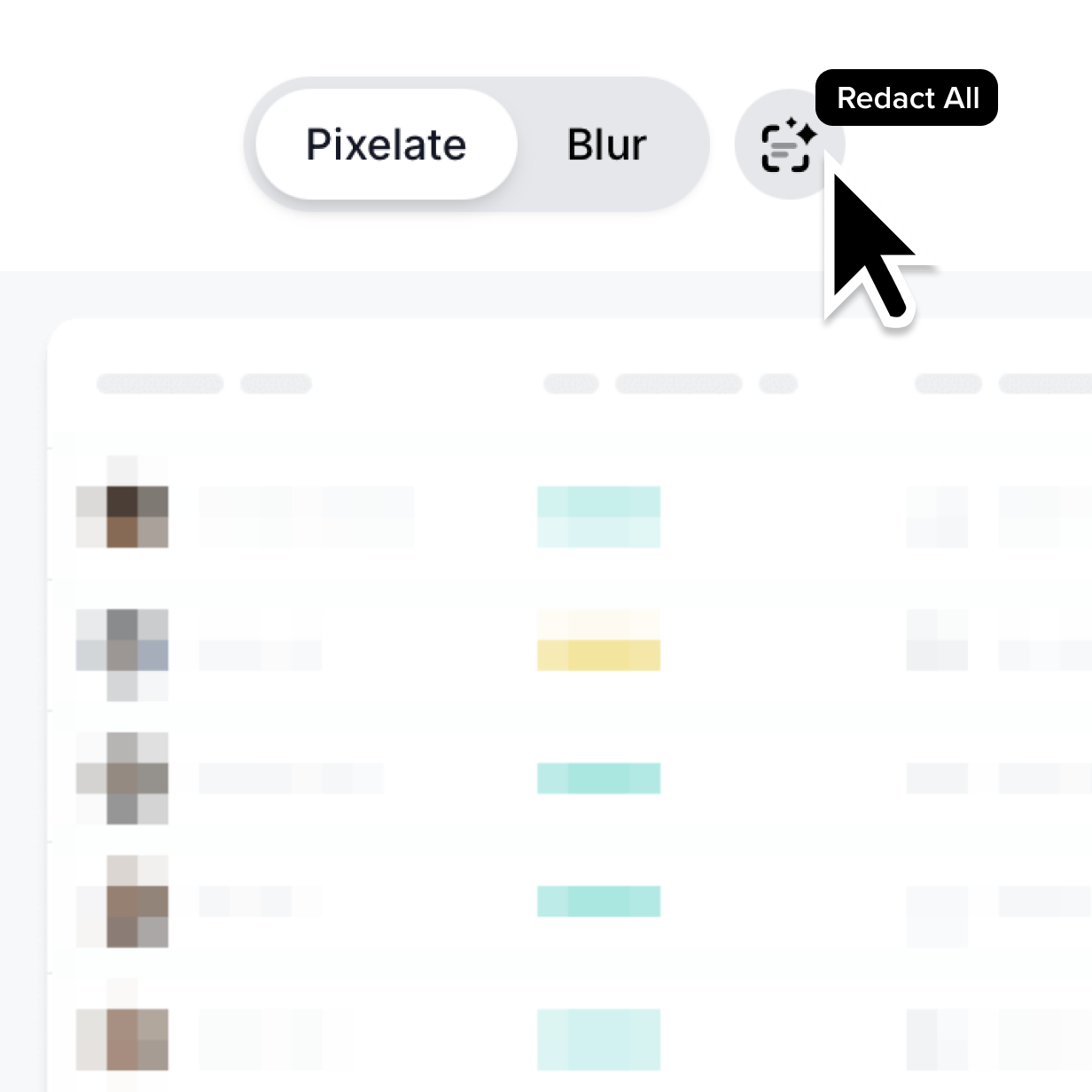 Screenshot that highlights the button you click to redact all within the tool.