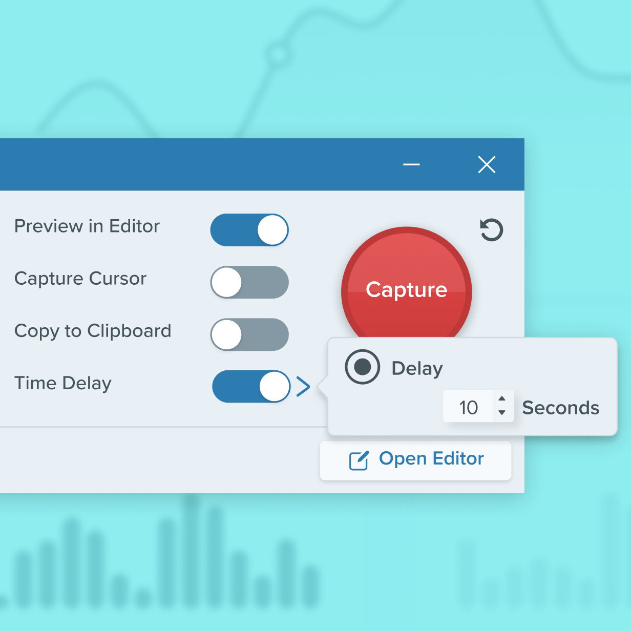 The timing options in Snagit.