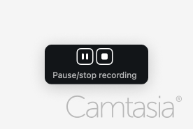 Black Zoom button with pause and stop symbols, labeled 'Pause/stop recording.'