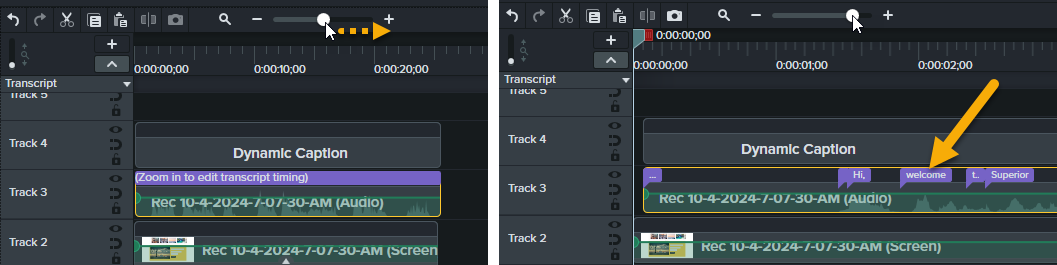 Zoom en la línea de tiempo para ver las palabras de la transcripción