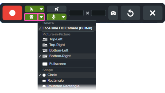 Record webcam and options buttons in the video recording toolbar