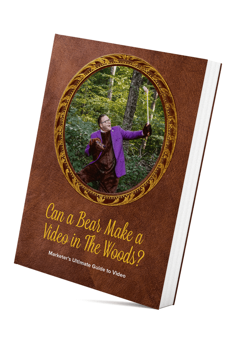 Book cover titled "Can a Bear Make a Video in the Woods?" with a man in a bear costume holding a selfie stick in a forest.