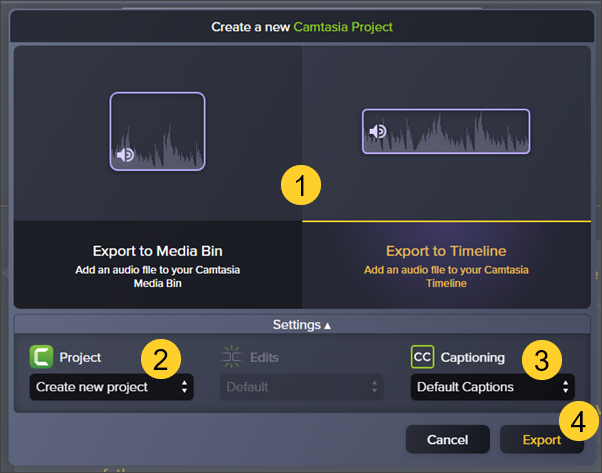 Screenshot of the Camtasia Export video options