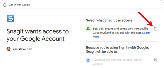 Snagit のアクセスを許可する Google ダイアログ