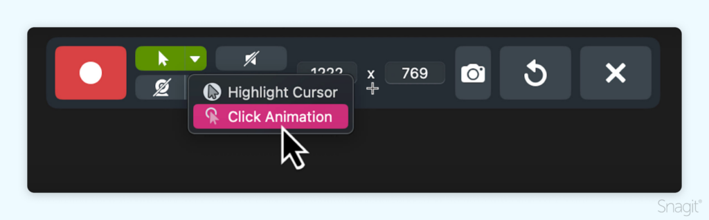 Click animation option in Snagit